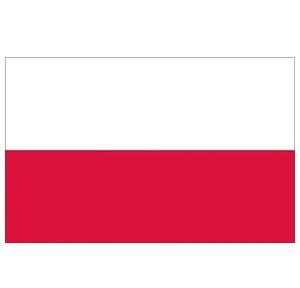 BANDERA FLAGA POLSKA 40x60 CM 3546303