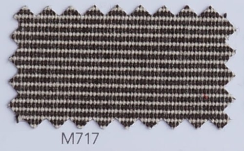 M717.jpg