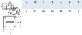 815281.jpg